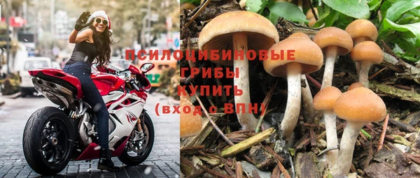 стаф Богородск