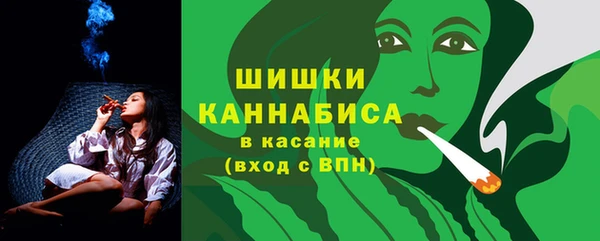 стаф Богородск