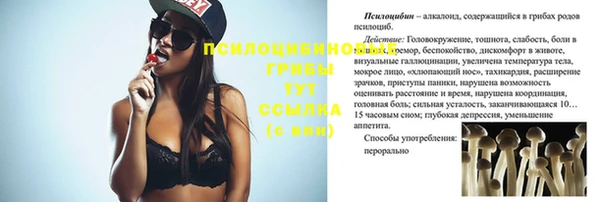 стаф Белоозёрский