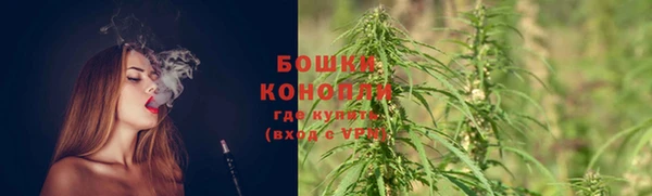 стаф Богородск