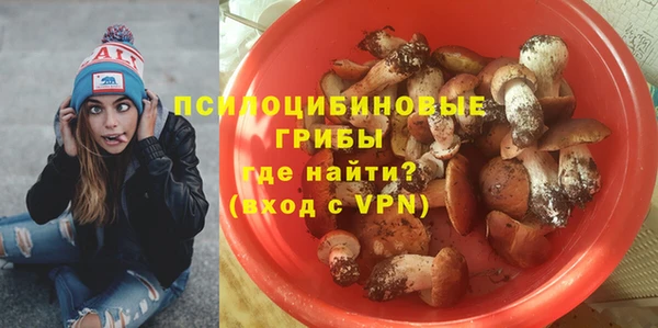 эйфоретик Богородицк
