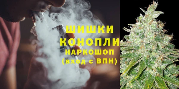 стаф Богородск