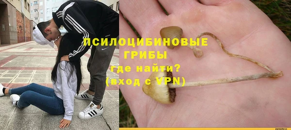 кристаллы Белокуриха